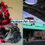 Peckham Pet-Tastic