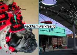 Peckham Pet-tastic