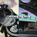 Peckham Pet-Tastic 2