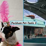 Peckham Pet-Tastic 3