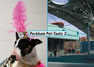 Peckham Pet-Tastic 3